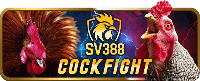 Liên hệ đội ngũ hỗ trợ new88011 nổ hũ